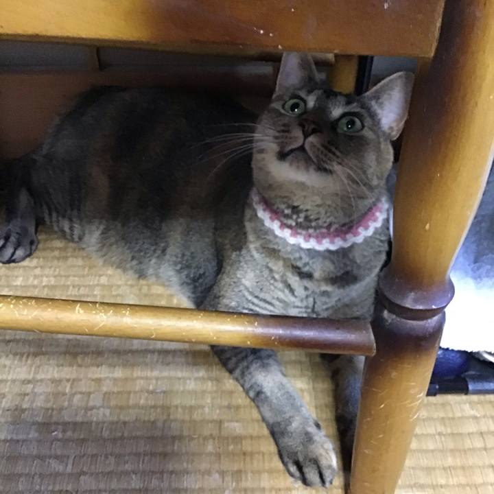 704724bf 14f3 4934 9f4f 6b68112f0a85 1656410304501