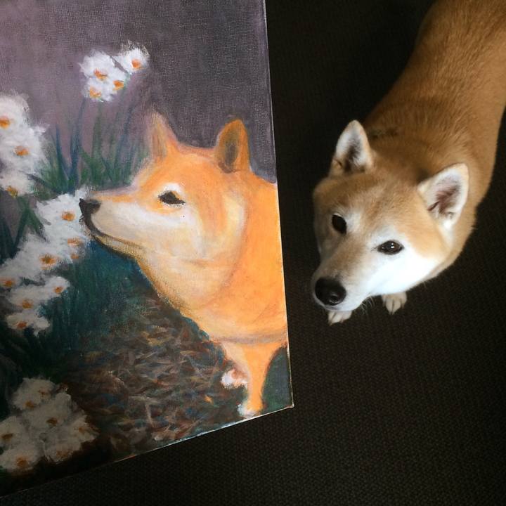 7047276f 6365 443d bf9b e9f40dc5afe4 1573834334649