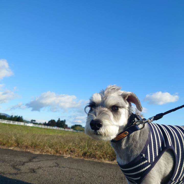 7047ea3d 5d4d 48c3 8170 95a8b78a5afb 1761548478884