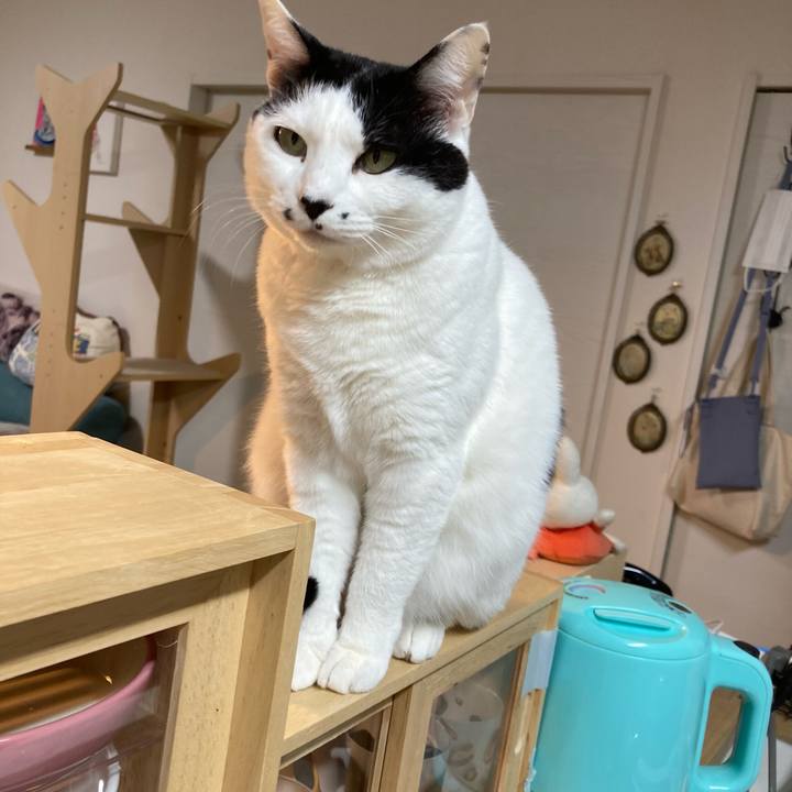 70481597 3a41 40ad b8d5 75c46f7f2513 1773780537326