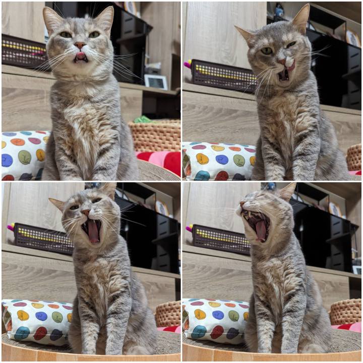 70483569 041c 4344 b01b 620a3dbe88b0 1717325584403