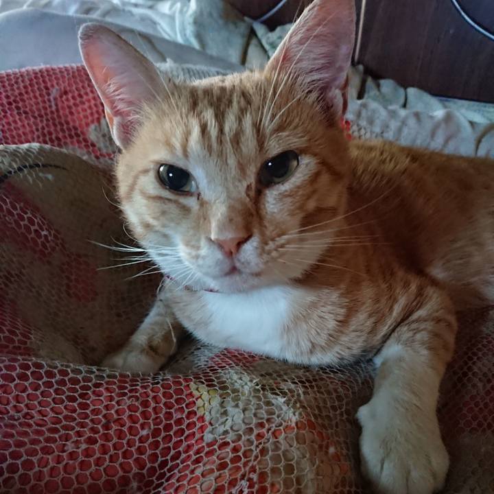 70485aa0 c1a2 4379 ac3c 6b723a6f4784 1562707409308