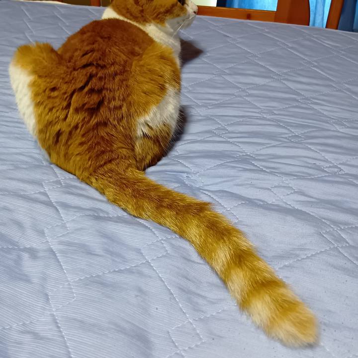 70487752 2950 48ca 96d0 30e21f131ed6 1751415203123