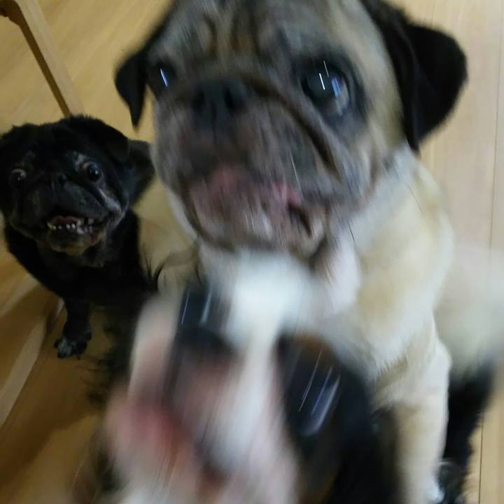 70487fa8 061b 4245 a120 dba6bfba70a1 1549423312136