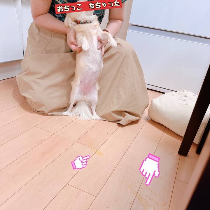 7048a0a5 50fd 4b22 8694 bb464d6f920a 1656748102534