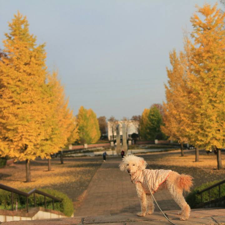 7048b071 b39e 4c21 ac71 85f1c35f5913 1637405636958