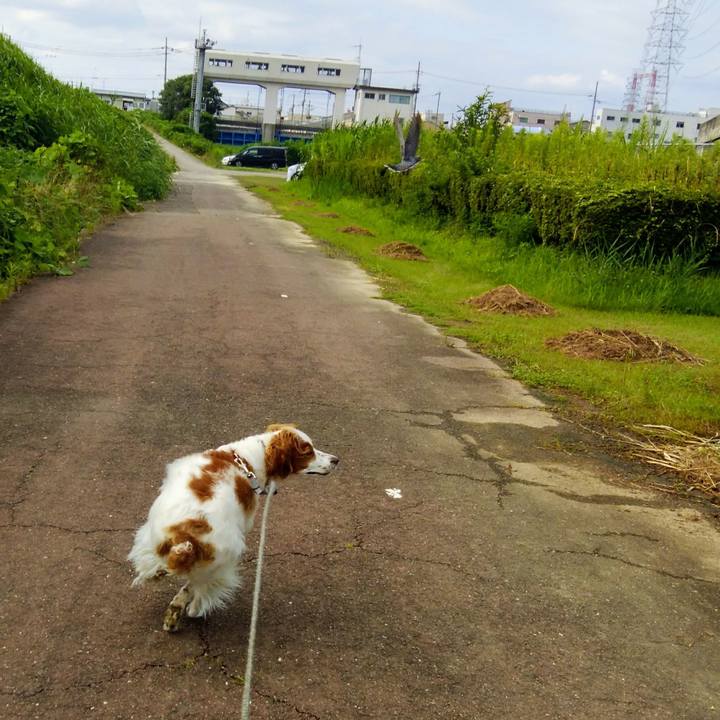 7048c48c 6fc0 4d32 87f4 d326de6b583a 1563190991741