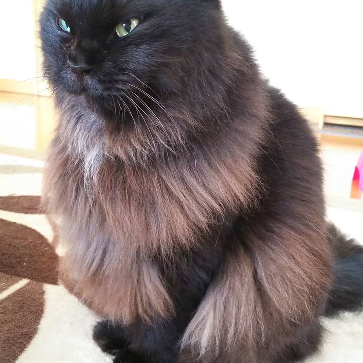 7048ca79 0203 4584 b210 dbfb29614948 1573339386188