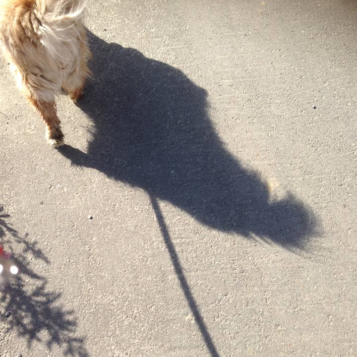 7048d1a8 21f7 4738 b4c1 4eca0ca7e9f8 1550471561476