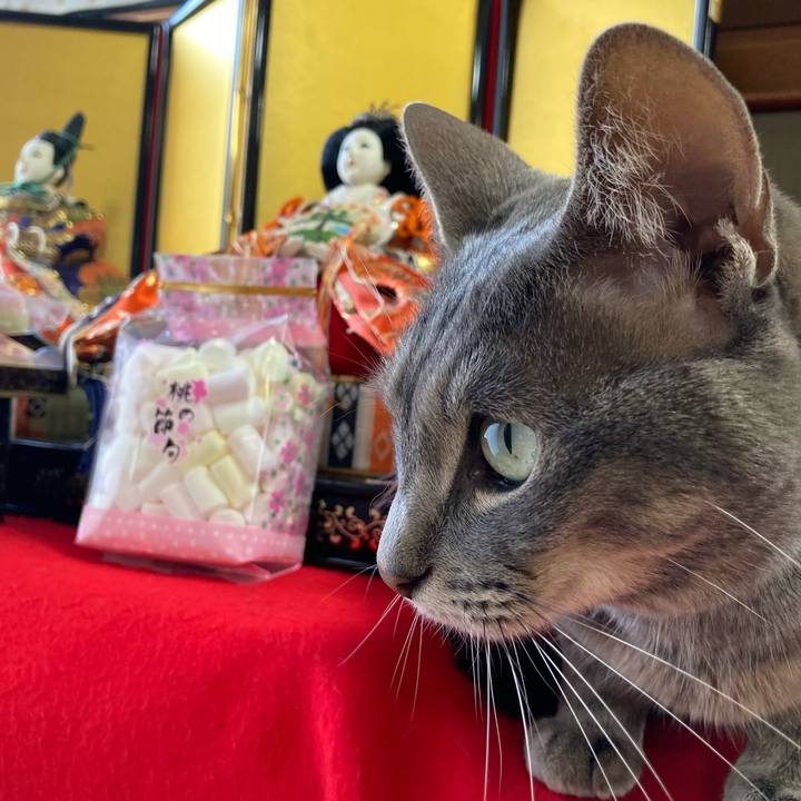 70495ee1 9427 493a 9c41 5b643e9e4117 1645578017719