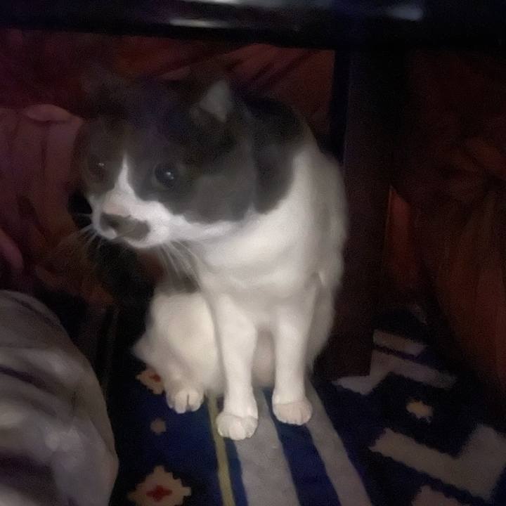 704966ba 2558 46b9 b1d0 32f49d6e0b54 1640511228908