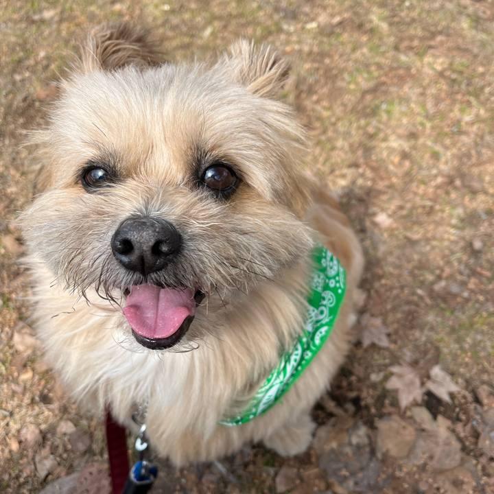 7049c69a cc22 48ca 8063 274669cb17c1 1744009413953