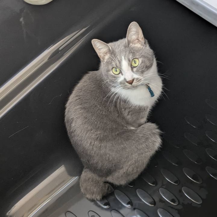 704a0a9f 410f 464c aea1 e5711e603dd3 1766374868398