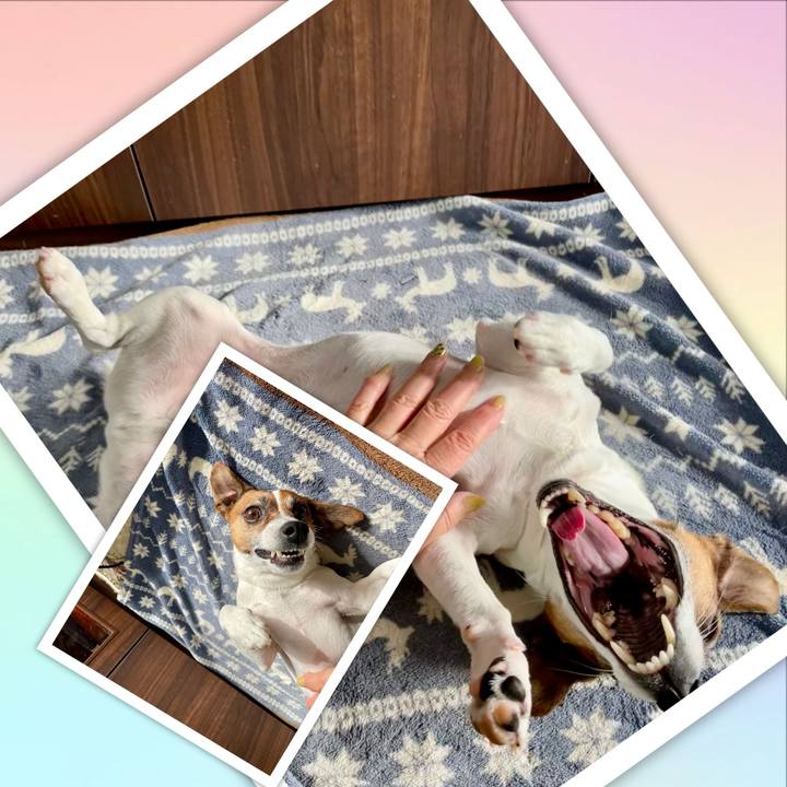 704a15ed 8dde 4b41 84bb 8f8ba9b8cb4d 1741219754766