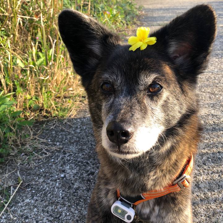 704a18de dbb8 4db2 b75e c5afeaf0b82d 1681983746996