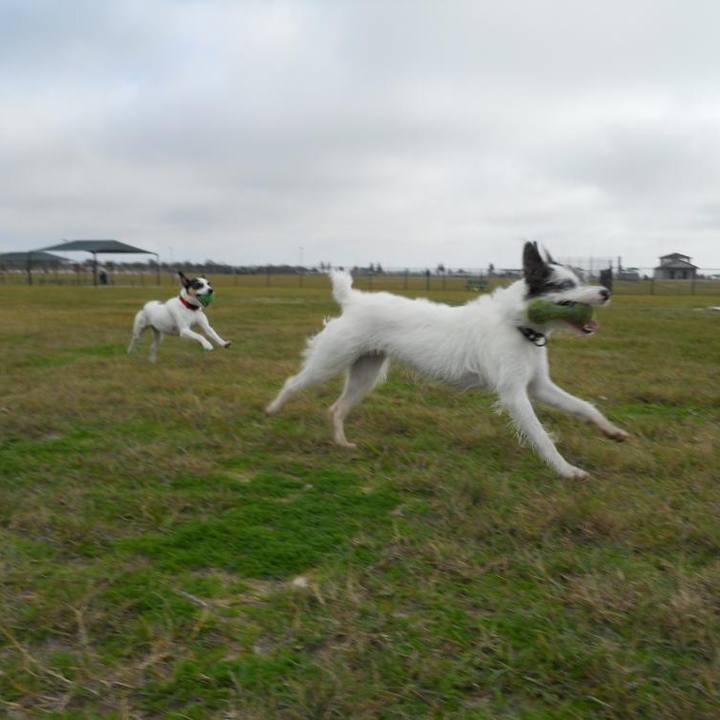 704a424b 0f92 4f07 a3ce 28d664f70ca0 1681337892806