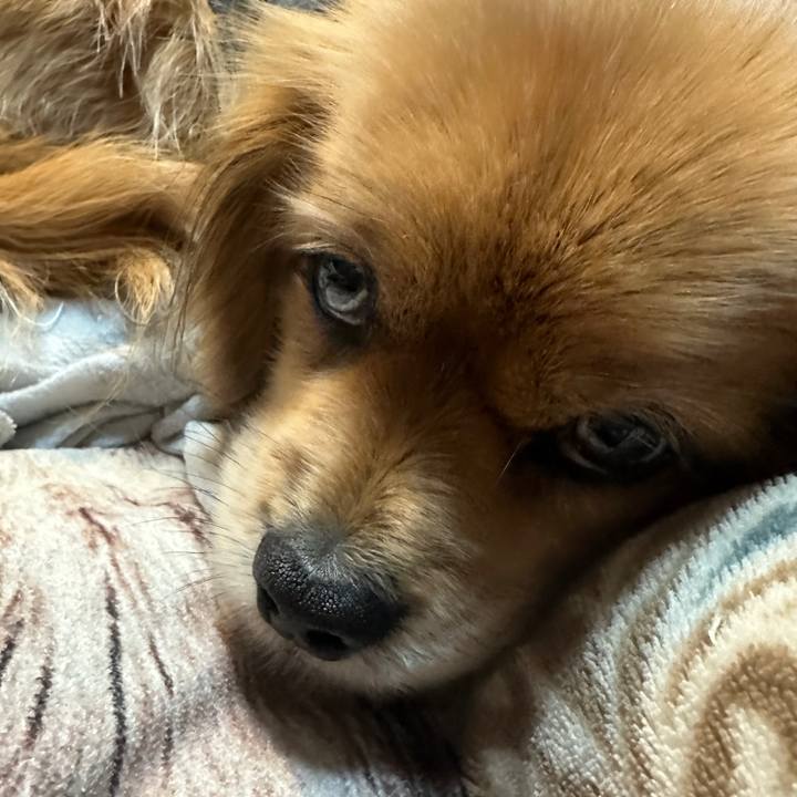 704a5416 fe66 4aba a466 01b154f83c1e 1706760929514