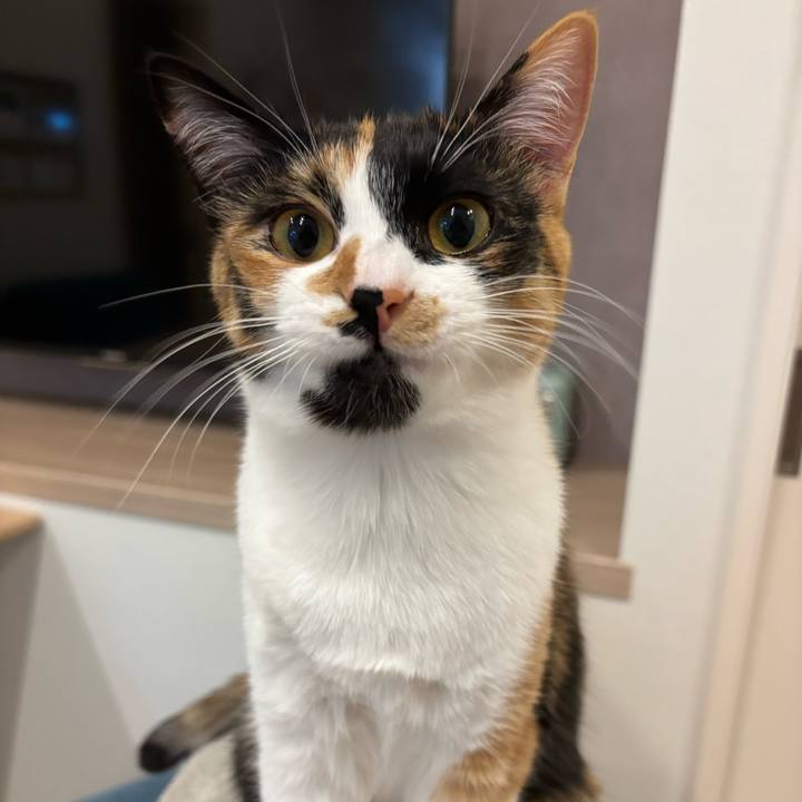 704aaf15 adf9 425b b176 2595d7fff9b7 1771422765337