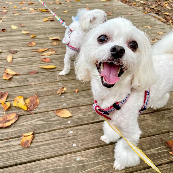 704ab7f5 66bf 4ac7 93bc 9c86939d4d2c 1631493613164