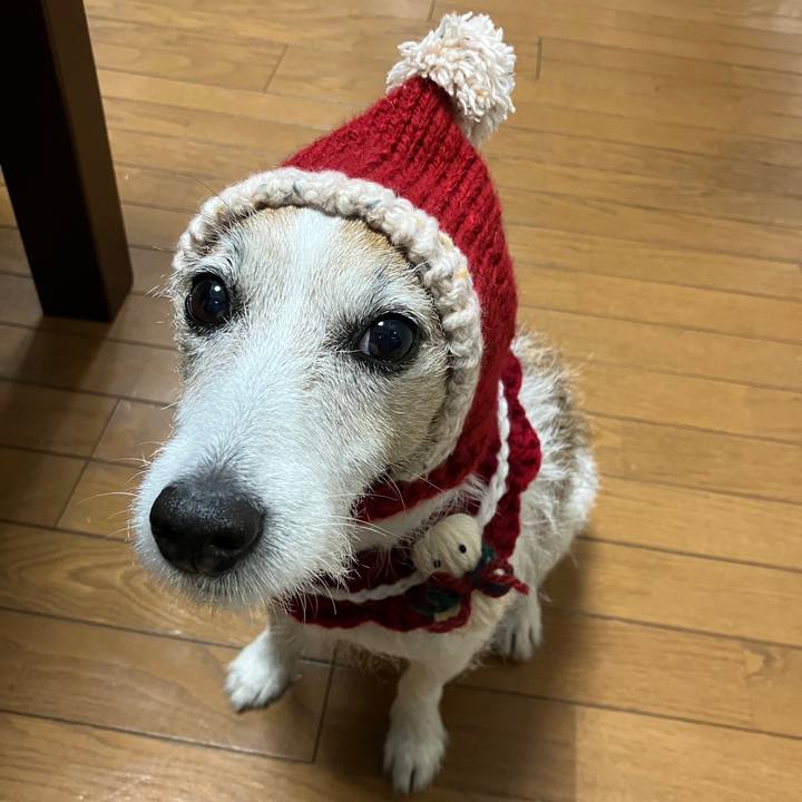 704ac568 9c4c 48f3 add9 9ad461140856 1703460832518