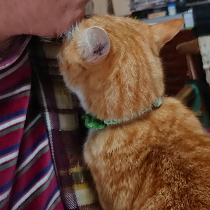 704ad17e 9acb 4b08 8cf7 840fc8ca3866 1586038935963