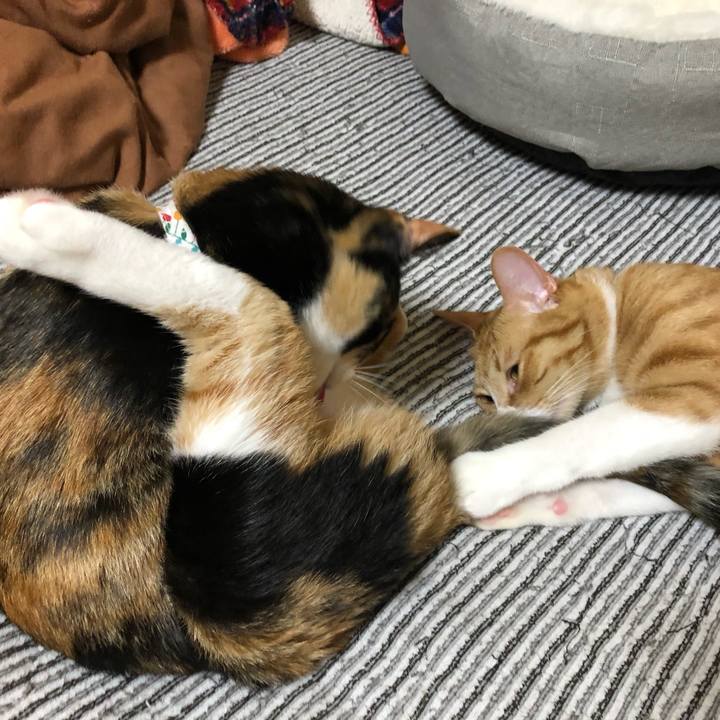 704ad995 9ae1 4083 8baa 7bf0ca934b6a 1571577095179