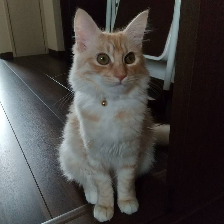 704ae0a4 6400 400e b955 15f9b8c3c0a6 1615508277553