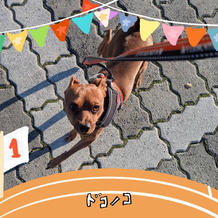 704b336f e45a 4272 83b7 c4676add894b 1763945972868