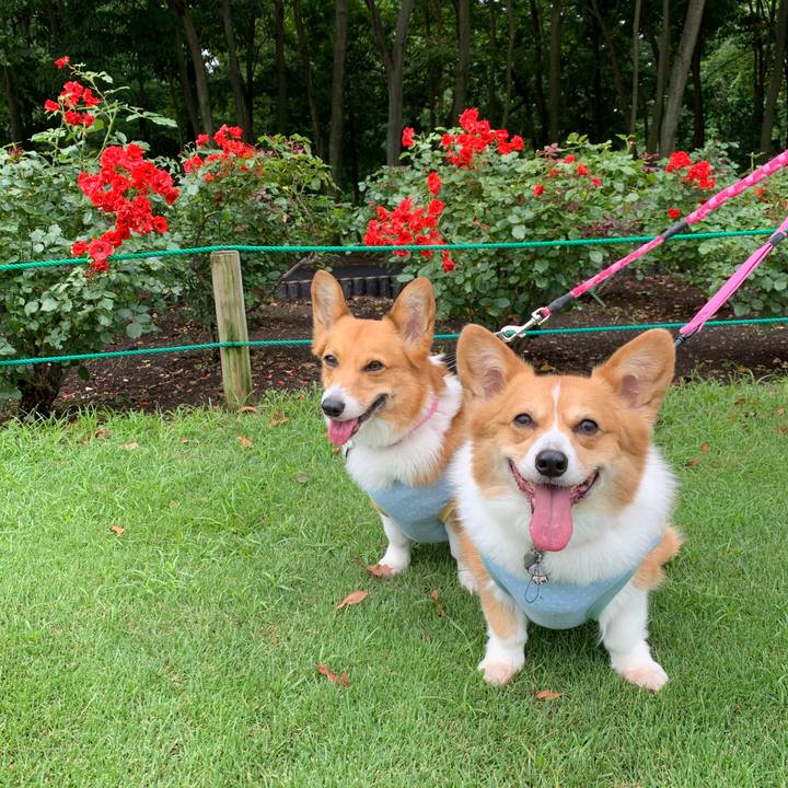 704b5d4e 2f05 4b3e 93c6 8072f219162a 1592098316881