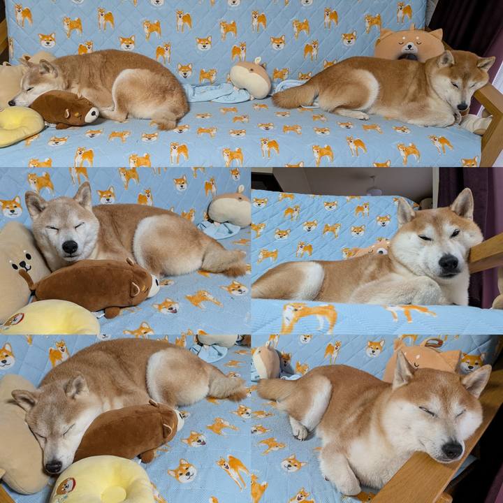 704b6724 6d17 420b 8ad1 0e089d89fef9 1761108516967