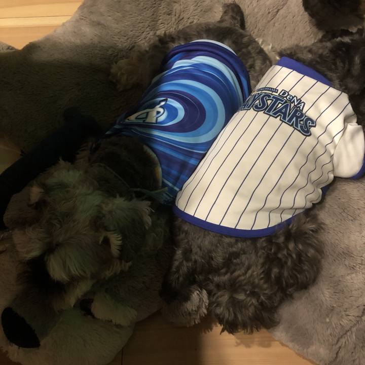 704c0bf9 8ac3 4740 a311 33ac186dc4a2 1567606800632