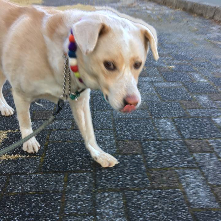 704c0e72 d2f6 4385 9b79 06d2ec22ed0f 1514157821942