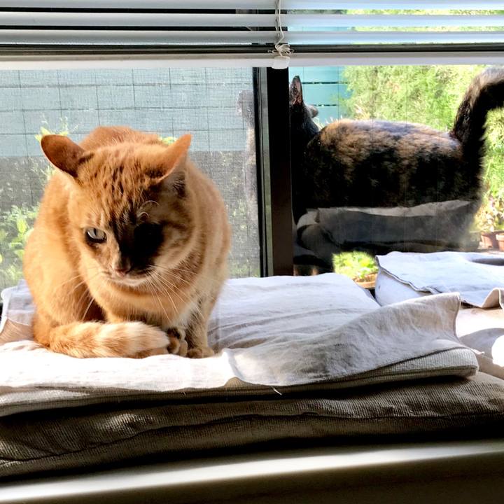 704c20f8 6916 4288 9525 492cc8dc0730 1557885951028