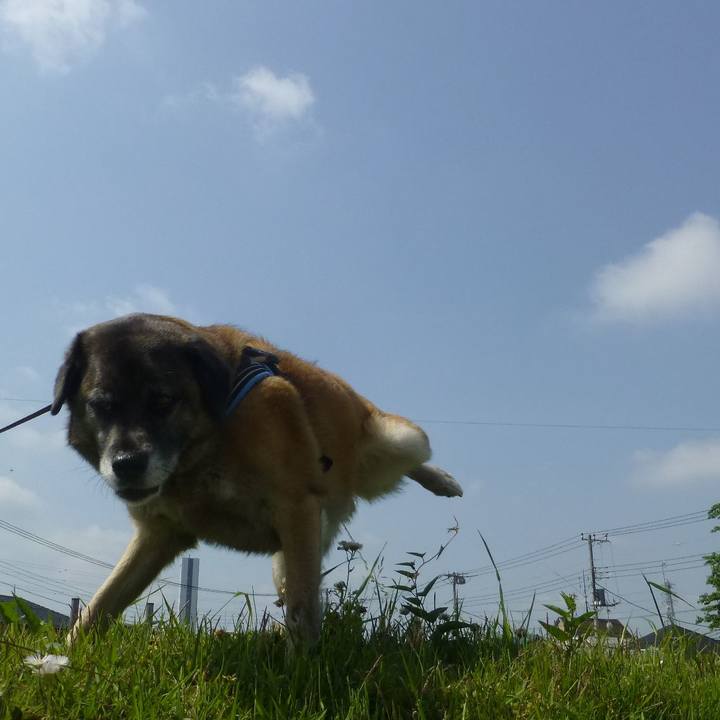 704c351d d5ca 463c 8c10 08c8873ea80d 1579949294381