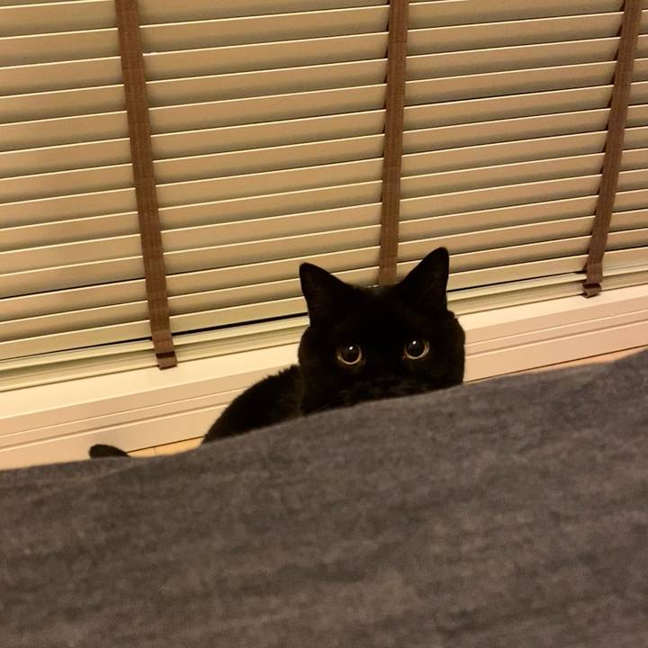 704c5d80 8b79 4d68 925b bd9449ca5074 1768650478947