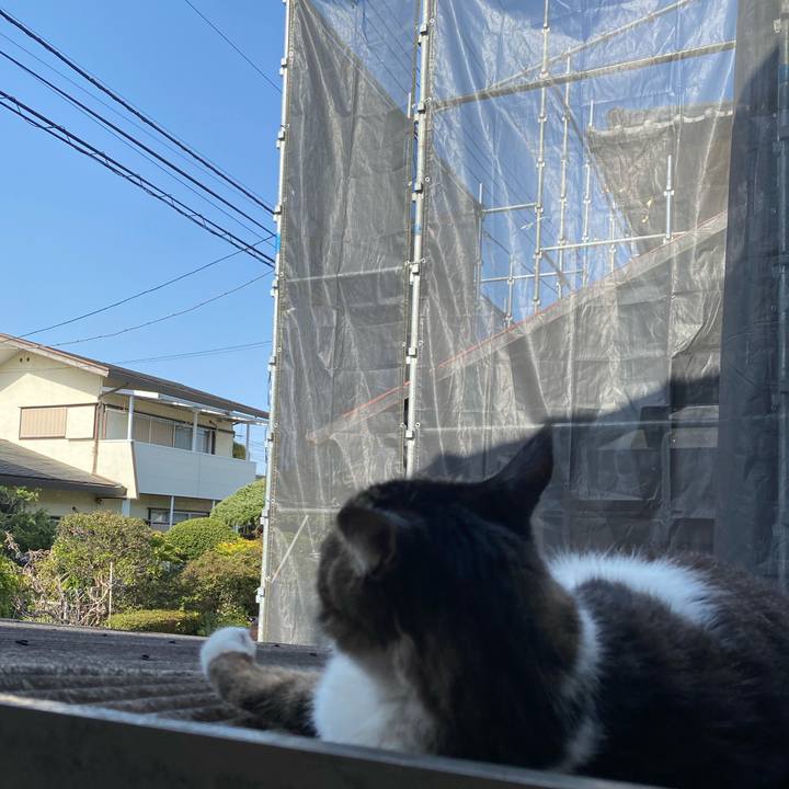 704cc660 fd73 4d60 a690 c1e4cad01be8 1649667982518