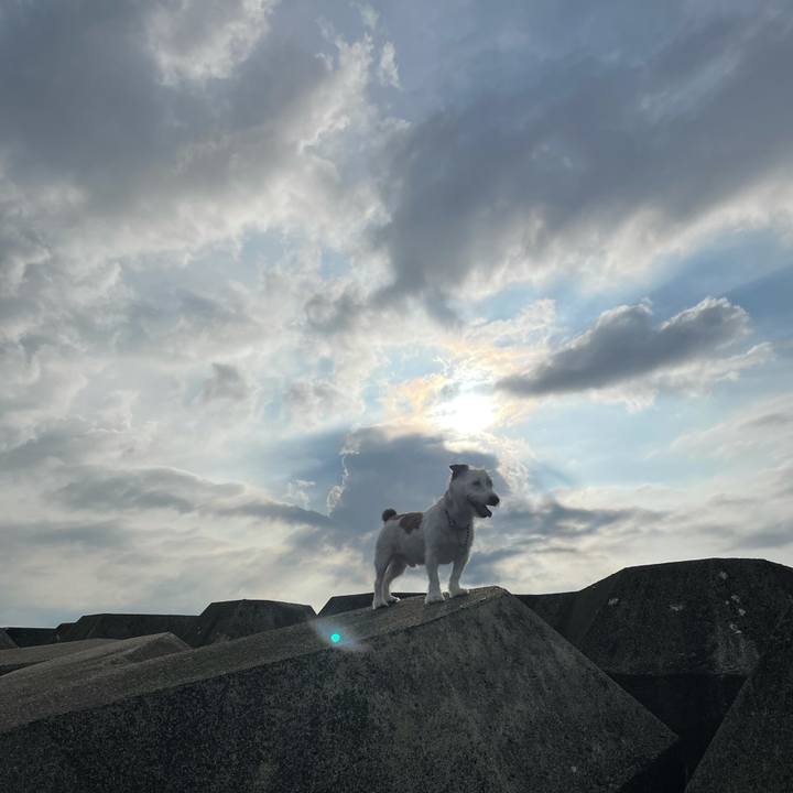 704cc915 9efa 48ca a89d eb42ba8e8716 1626081229069