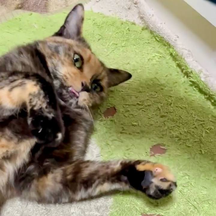 704cd6a1 a7bd 4c82 85e1 0ef384104216 1751835023449