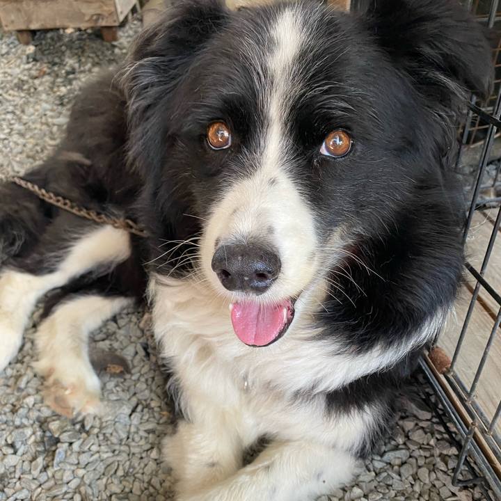 704cfb7a 1d3b 494b b4cb d524485ba81a 1626404672260