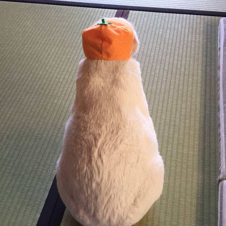 704d17ed 1b11 4c11 bacf d3d85be62930 1514520117202