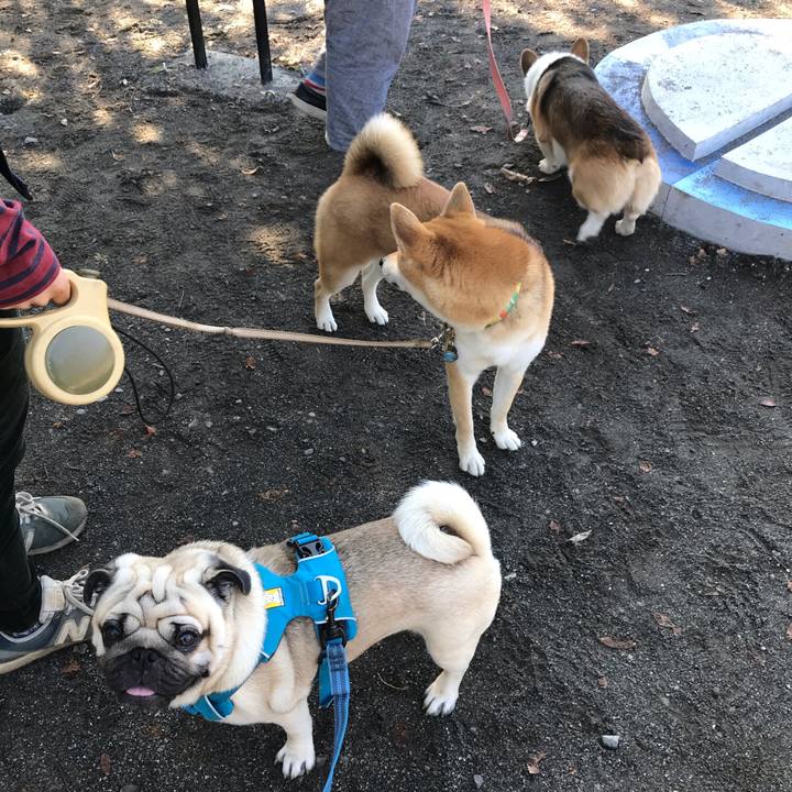 704d5755 8205 4734 9acd e55e27d99c51 1573038978235