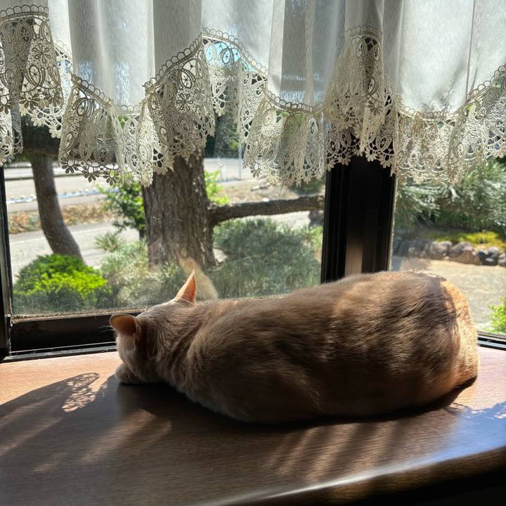 704dae06 9702 456d b75b c5094b1f6242 1716351723721