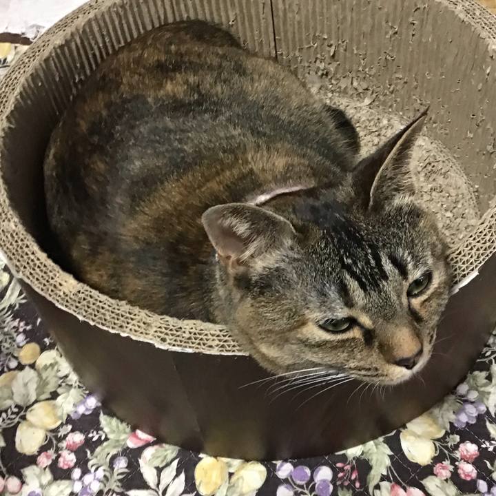 704db13f 0c25 4373 b938 9bf6ef2c751b 1718352270848