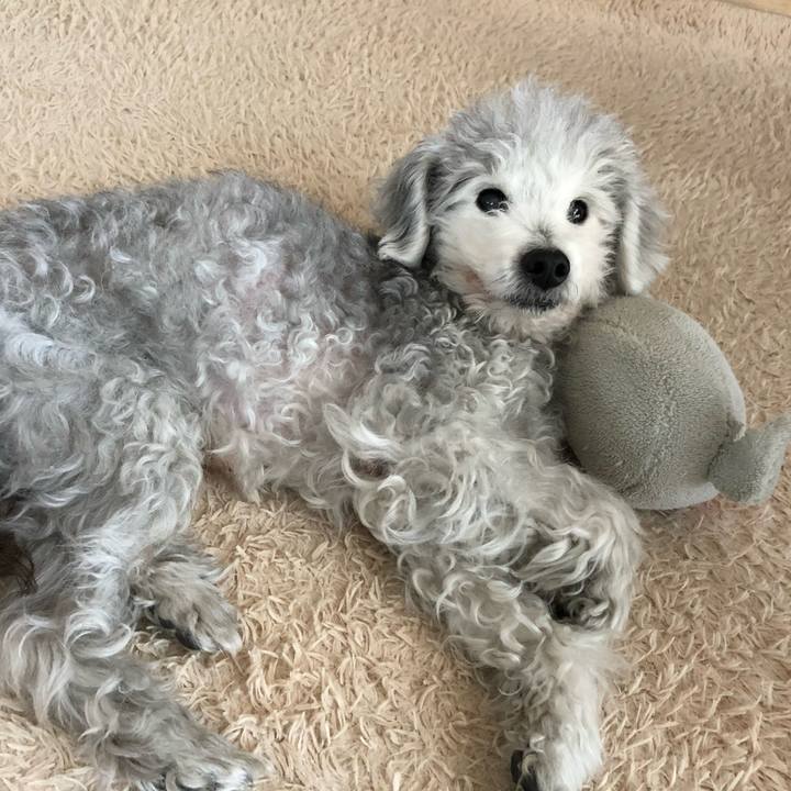 704db241 a5e5 4e09 aba1 bf28b8e51dbe 1745799476376