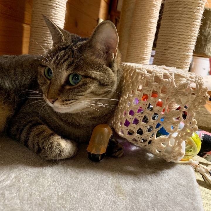 704db433 62b2 4a6d bf9e 6faed35f4d32 1563370887798