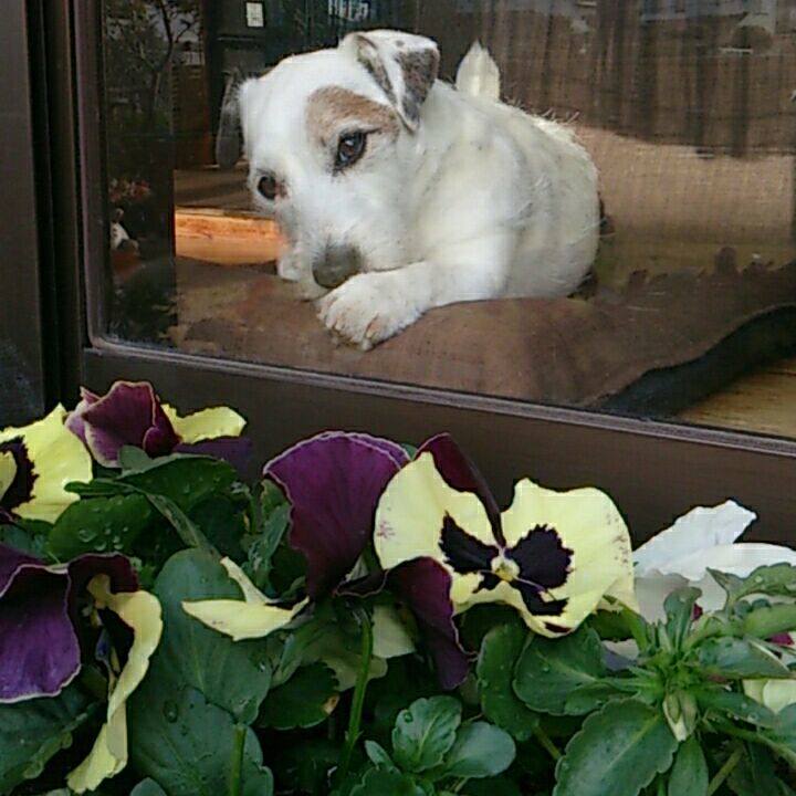 704dcec9 a086 4fa1 aa4e cdc66eef878d 1514249748775