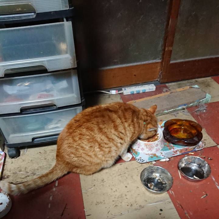 704de775 0333 4035 836b 025d48353daf 1579985797063