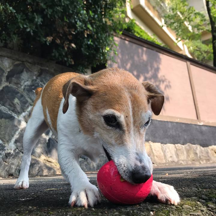 704df2e6 b596 495f 8558 35f584c93306 1565266668588