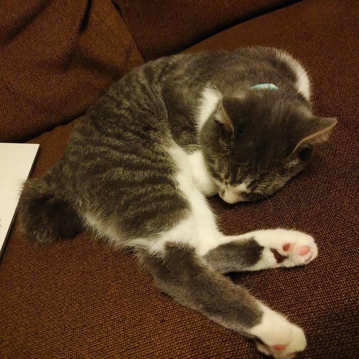 704dfd19 421f 4346 8c58 6ece615c2949 1571496438344