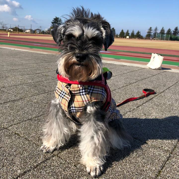 704e19fd 3407 4916 b205 50dbad55a6d5 1581396513302